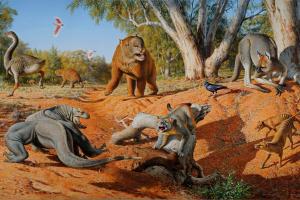 australias megafauna